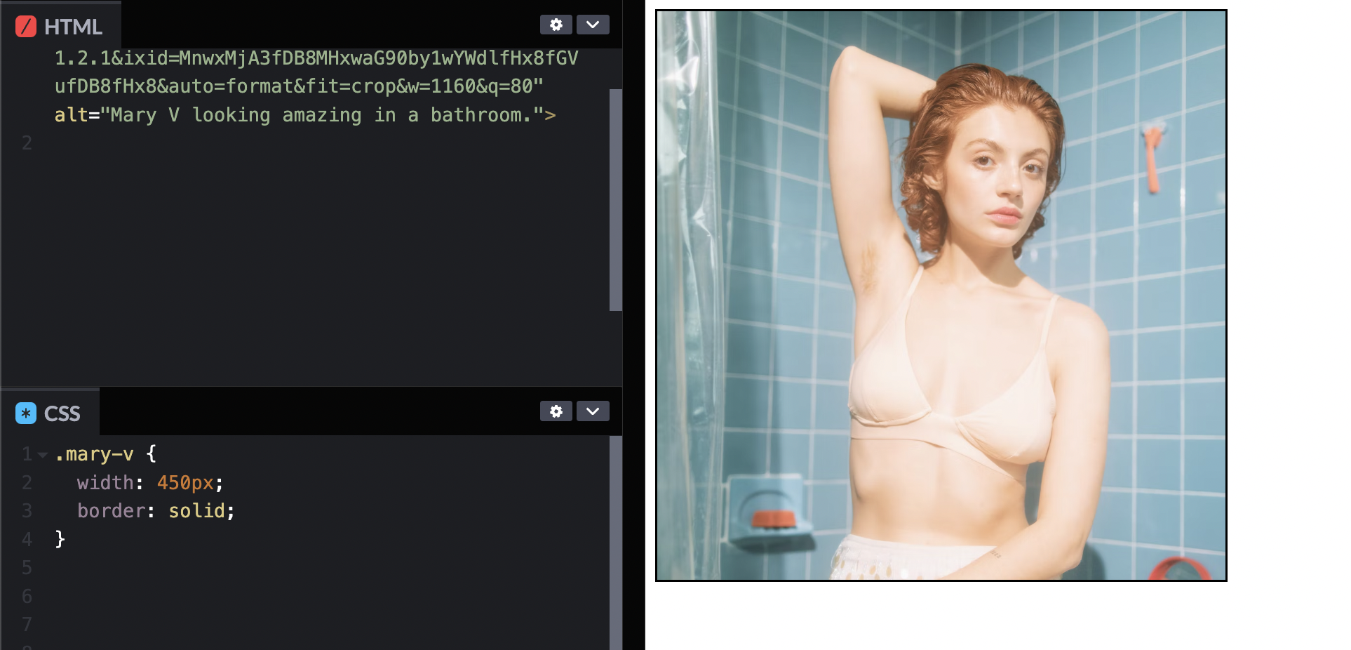 CodePen image showing same image now with a thin black border