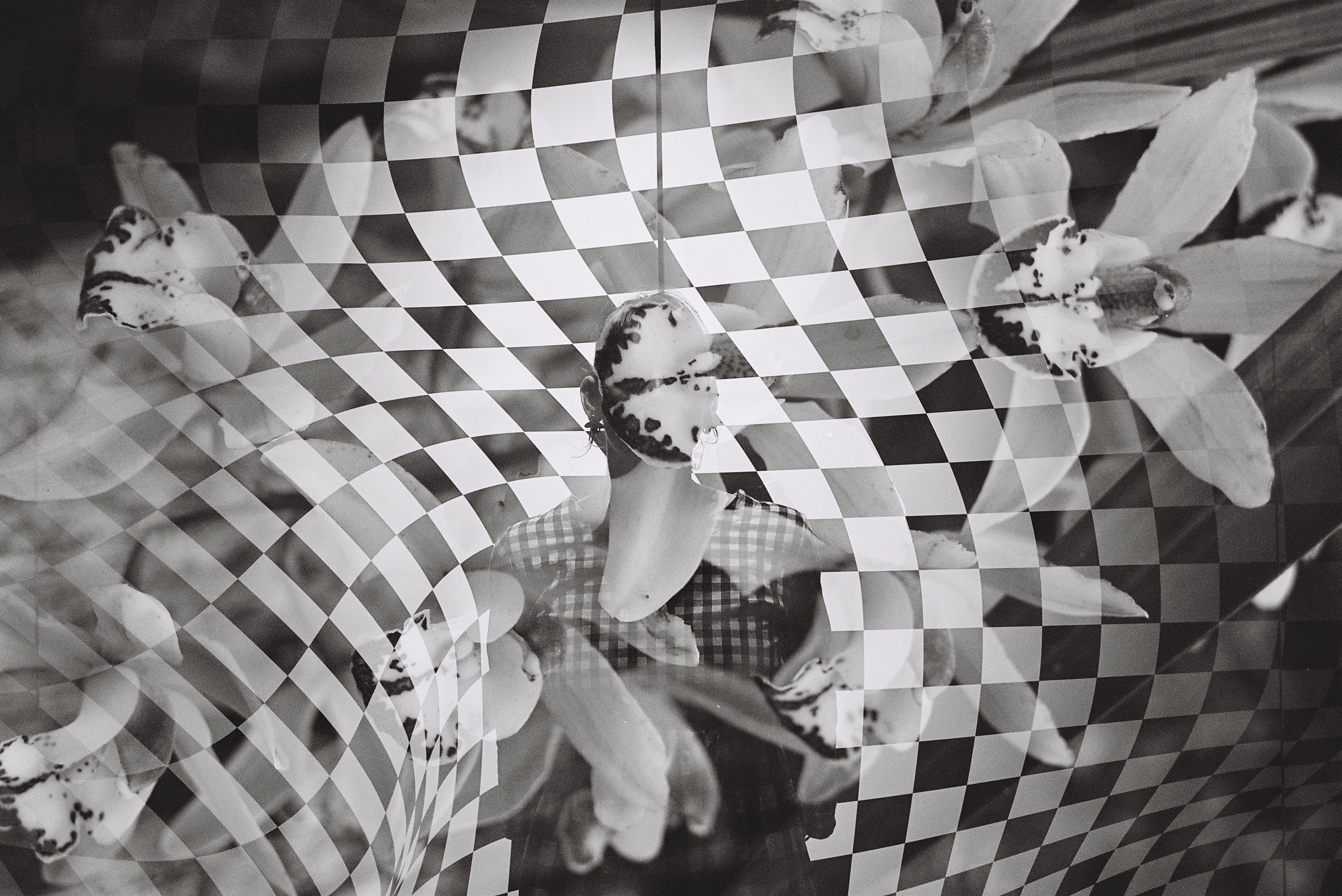 A black and white double exposure image. It contains floral and geometric imagery.